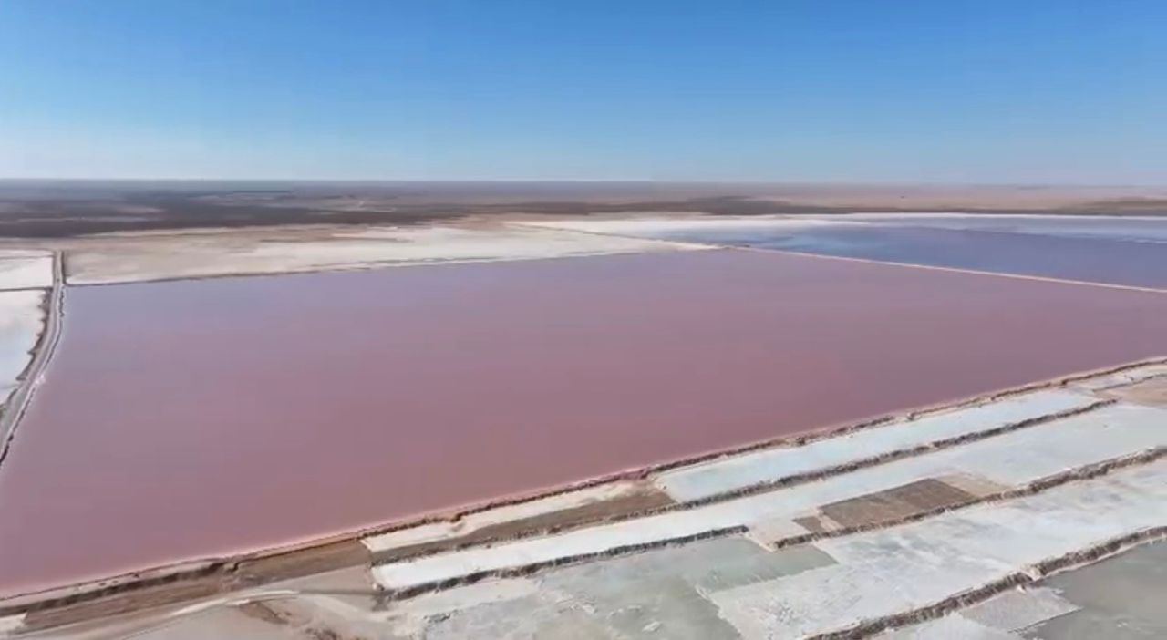 أحواض الملح